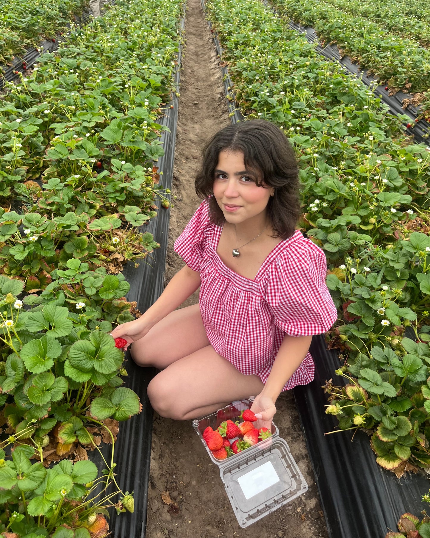 Picnic Puff Sleeve Gingham Top