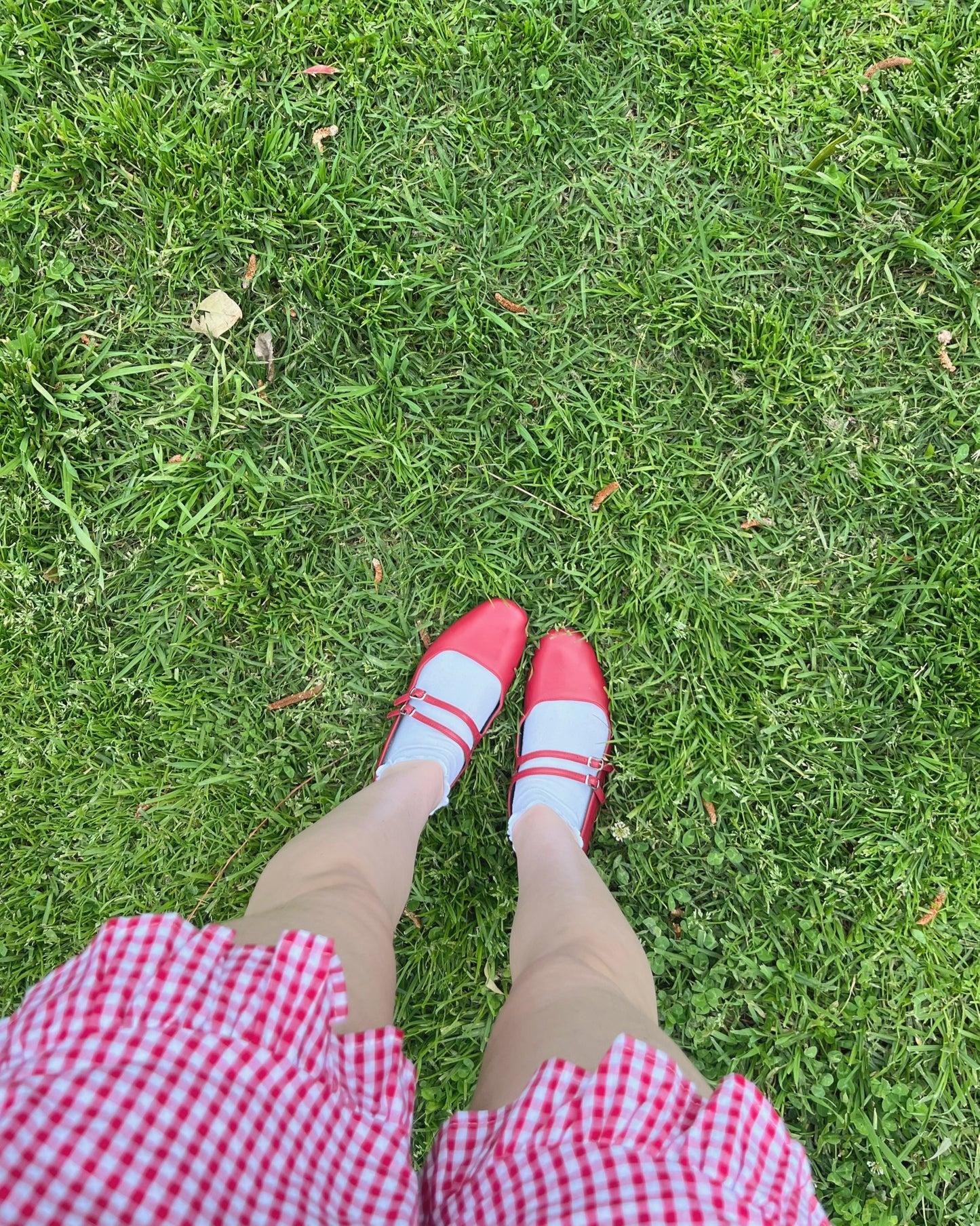 Picnic Ruffled High Waisted Shorts