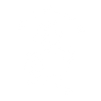 All of The Stars 